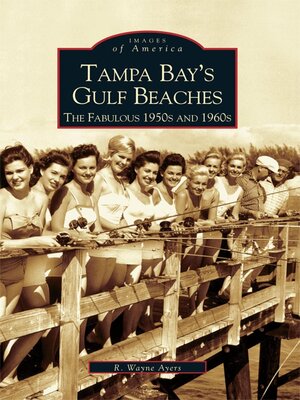 Tampa Bay's Gulf Beaches - ebook